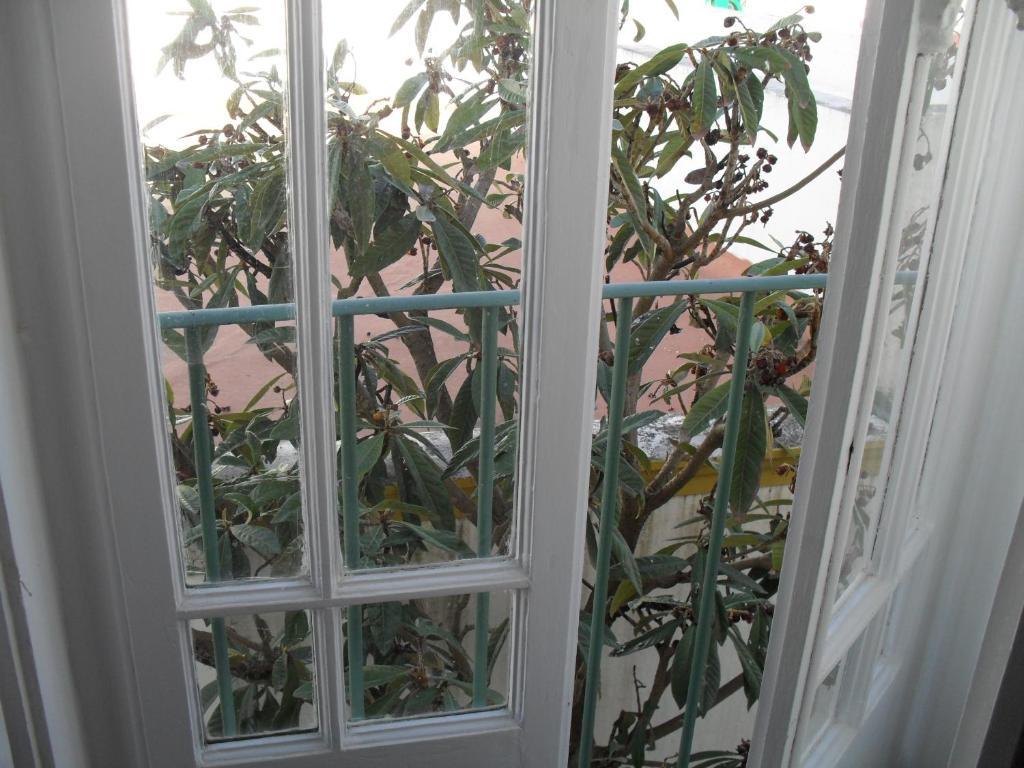 Casa Verde Ferreira Do Alentejo Cameră foto
